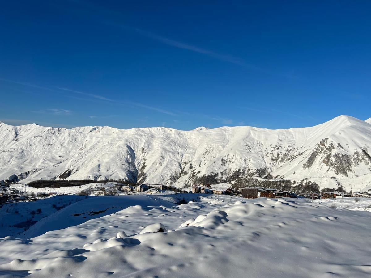 Twins #144 New Gudauri With Mountain View Apartman Kültér fotó